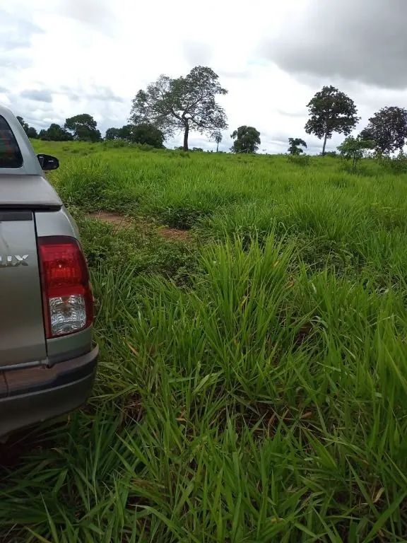 Farm for sale of 247 acres in Poconé, MT, Brazil