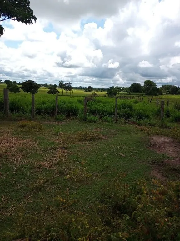 Farm for sale of 247 acres in Poconé, MT, Brazil