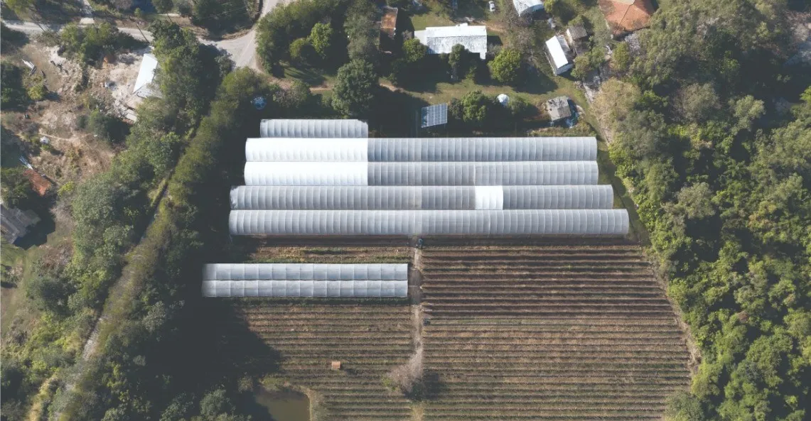 Small farm for sale of 7 acres in Piracicaba, SP, Brazil