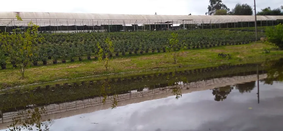 Small farm for sale of 7 acres in Piracicaba, SP, Brazil