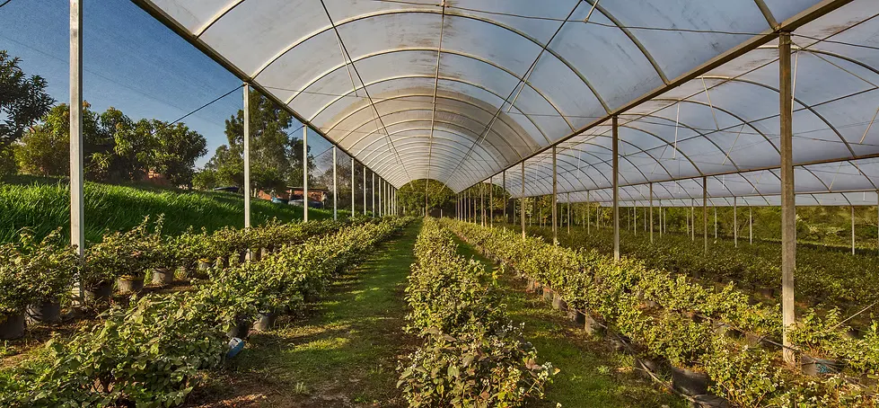 Small farm for sale of 7 acres in Piracicaba, SP, Brazil