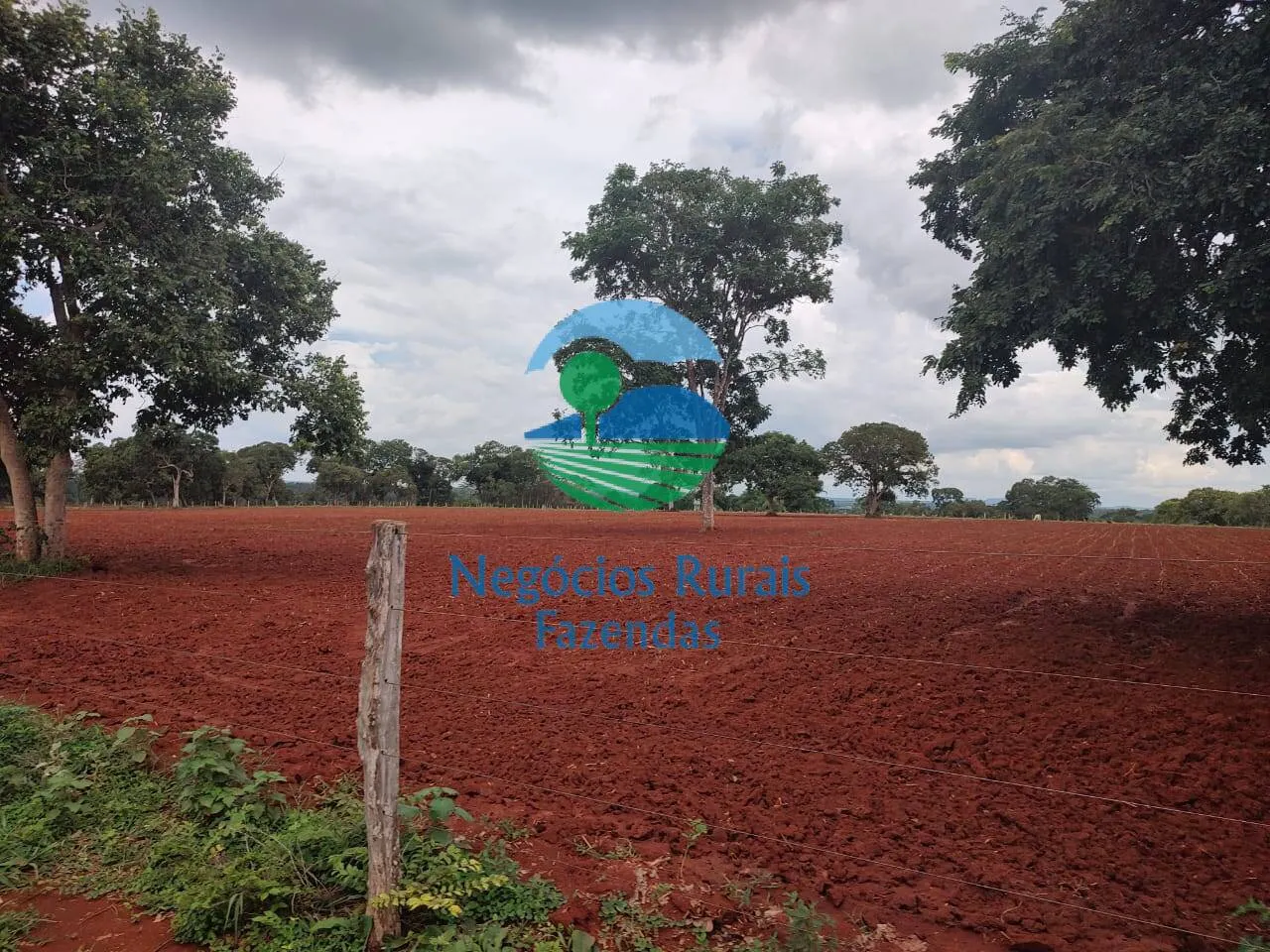 Fazenda à venda de 1.116 ha em Alto Horizonte, GO, Brasil