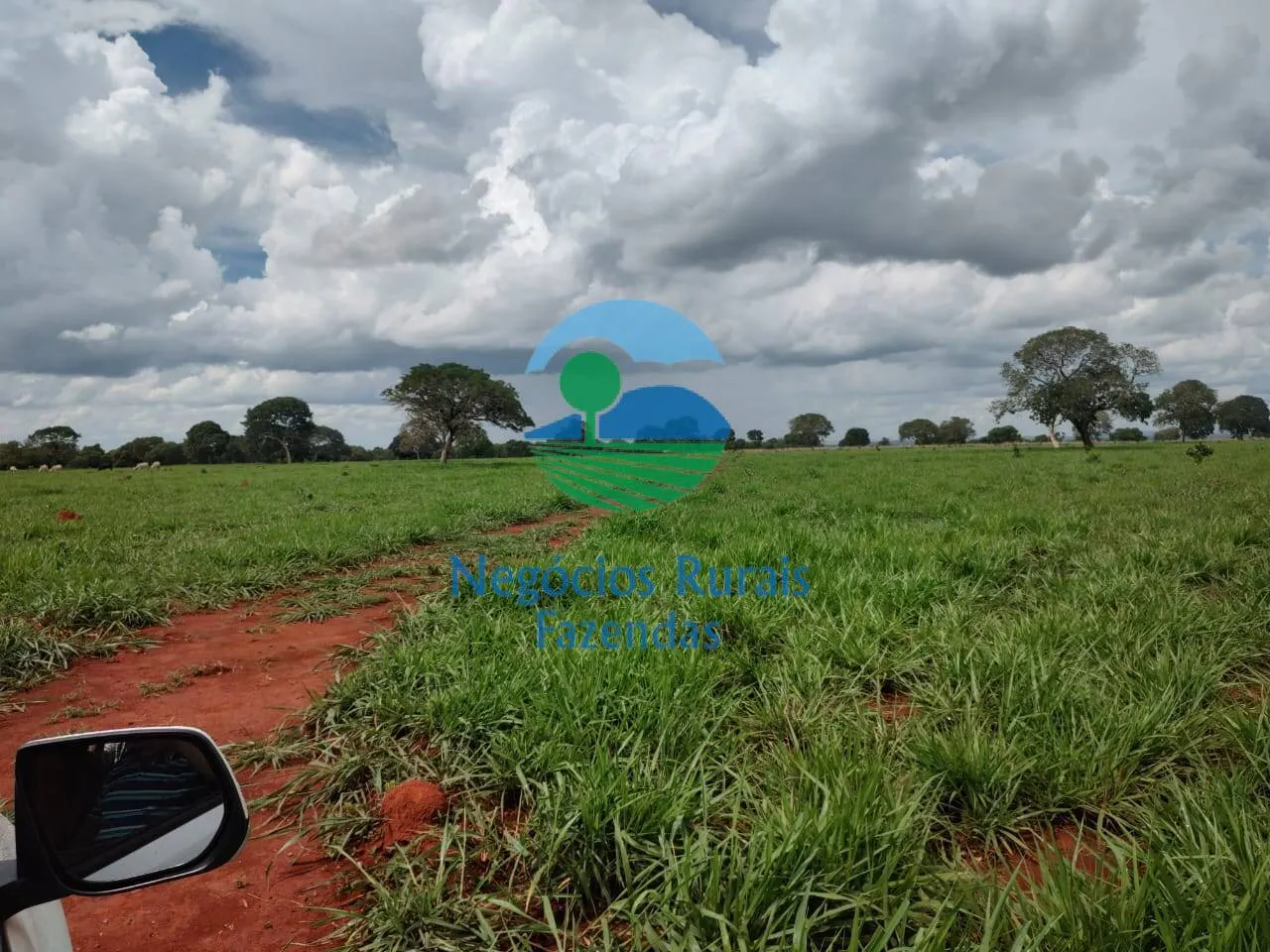 Fazenda à venda de 1.116 ha em Alto Horizonte, GO, Brasil