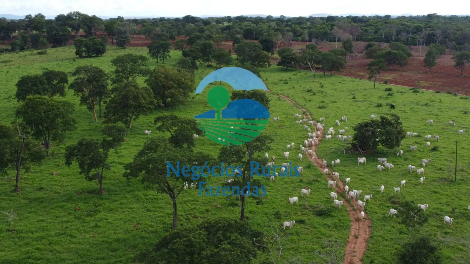 Fazenda à venda de 1.116 ha em Alto Horizonte, GO, Brasil