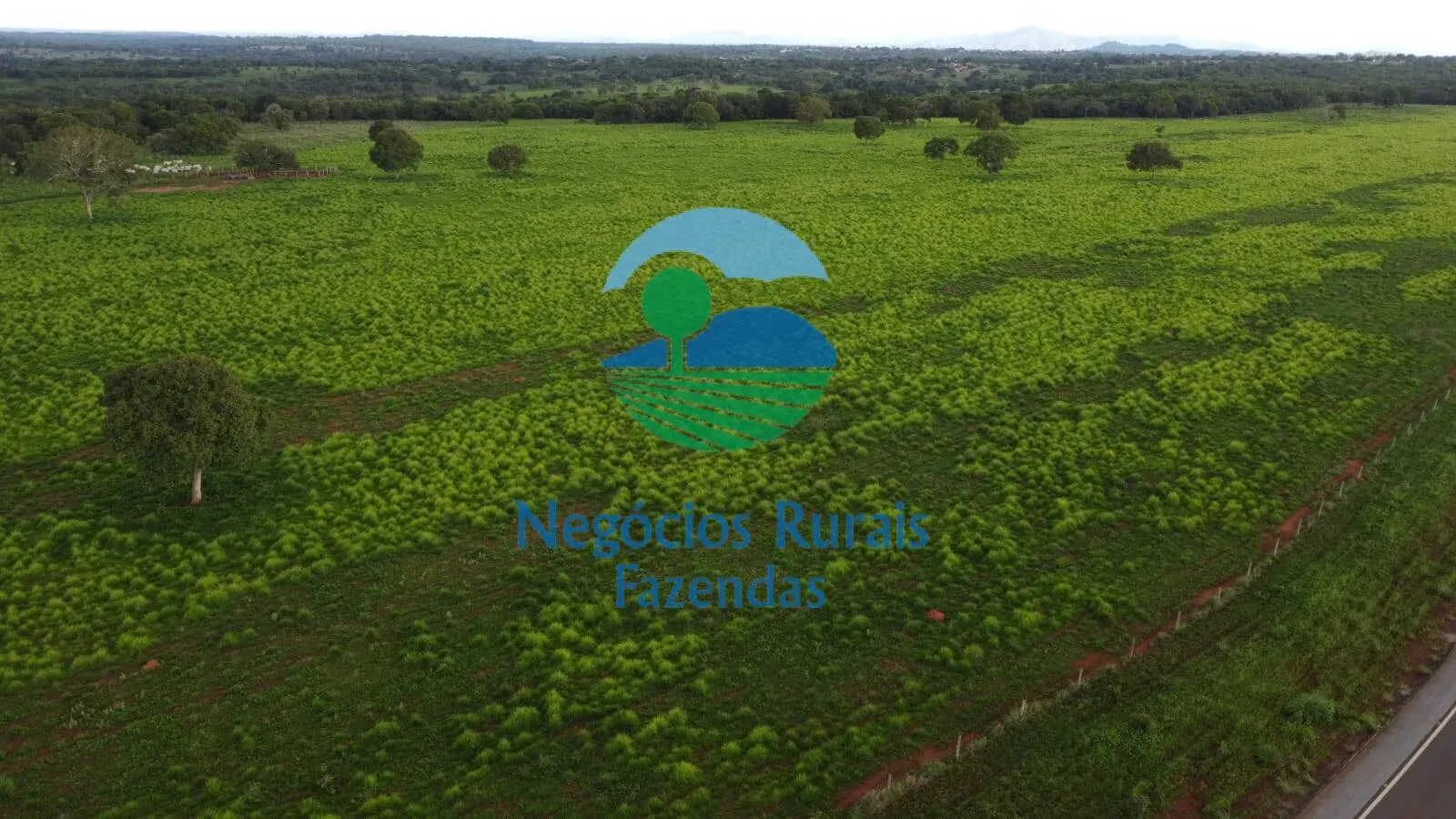 Fazenda à venda de 1.116 ha em Alto Horizonte, GO, Brasil