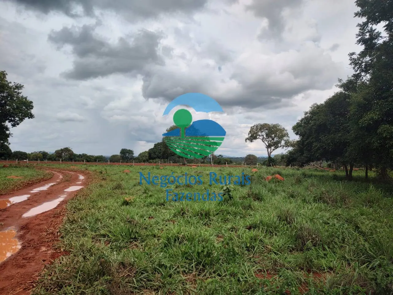 Fazenda à venda de 1.116 ha em Alto Horizonte, GO, Brasil