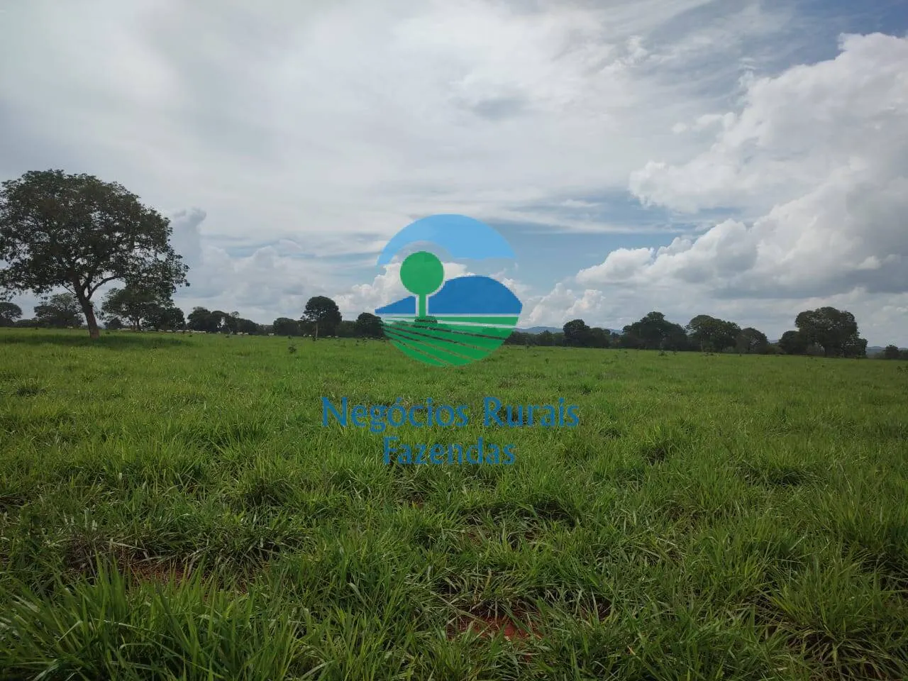 Fazenda à venda de 1.116 ha em Alto Horizonte, GO, Brasil