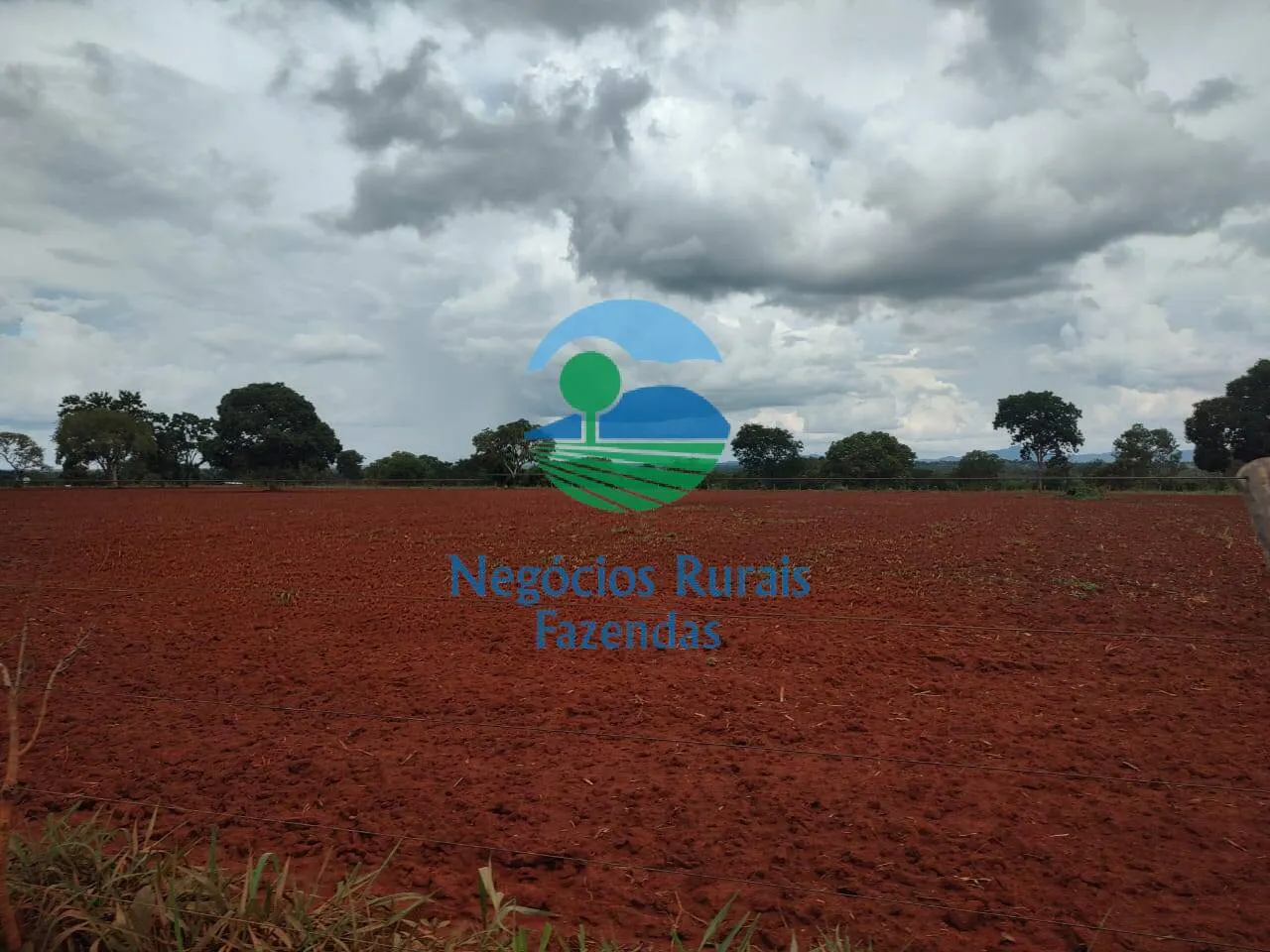 Fazenda à venda de 1.116 ha em Alto Horizonte, GO, Brasil