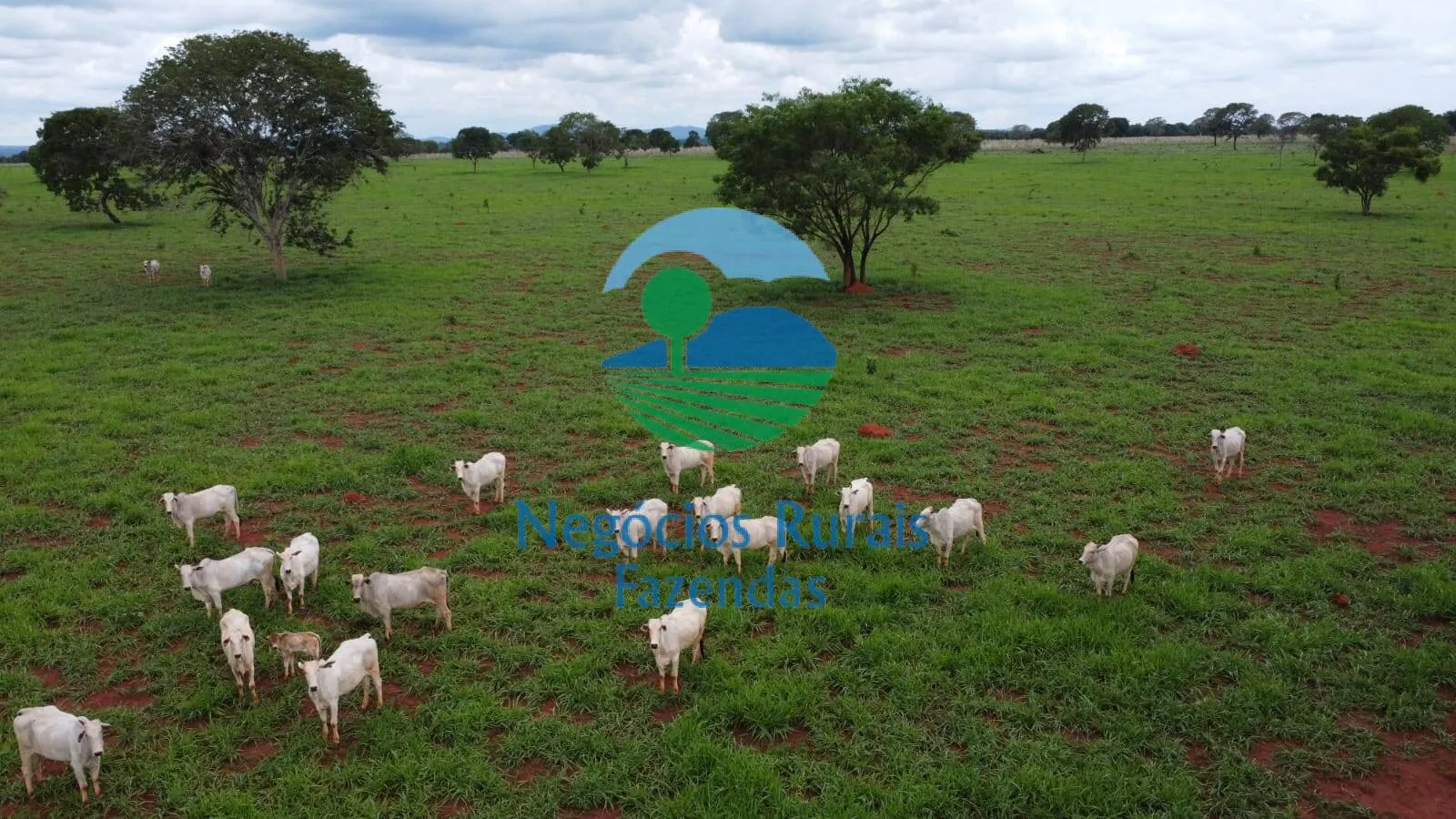 Fazenda à venda de 1.116 ha em Alto Horizonte, GO, Brasil