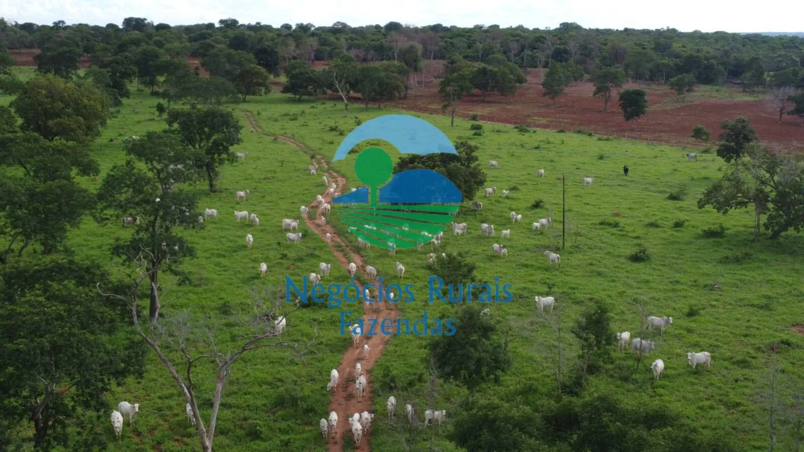 Fazenda à venda de 1.116 ha em Alto Horizonte, GO, Brasil