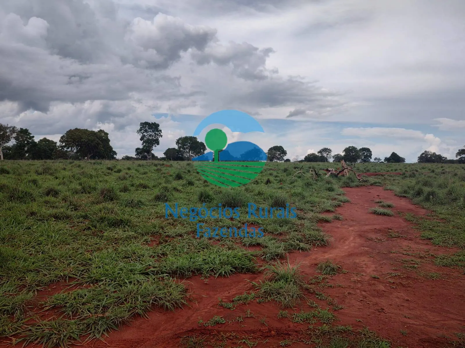 Fazenda à venda de 1.116 ha em Alto Horizonte, GO, Brasil