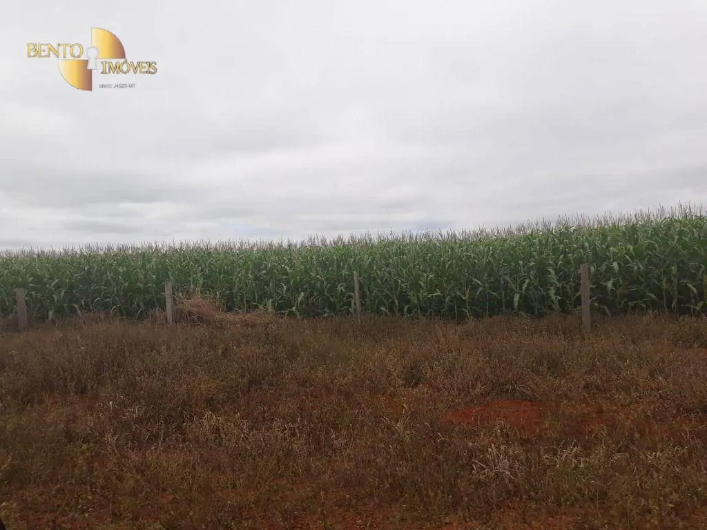 Fazenda à venda e para Arrendar de 1.830 ha em Brasnorte, MT, Brasil