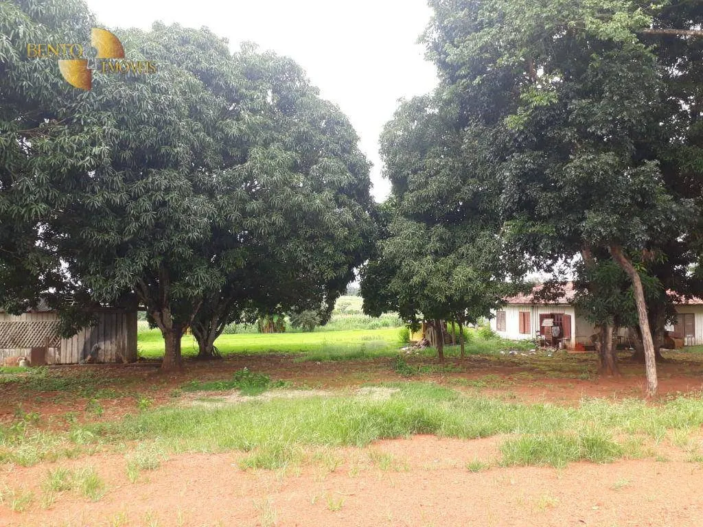 Fazenda à venda e para Arrendar de 1.830 ha em Brasnorte, MT, Brasil
