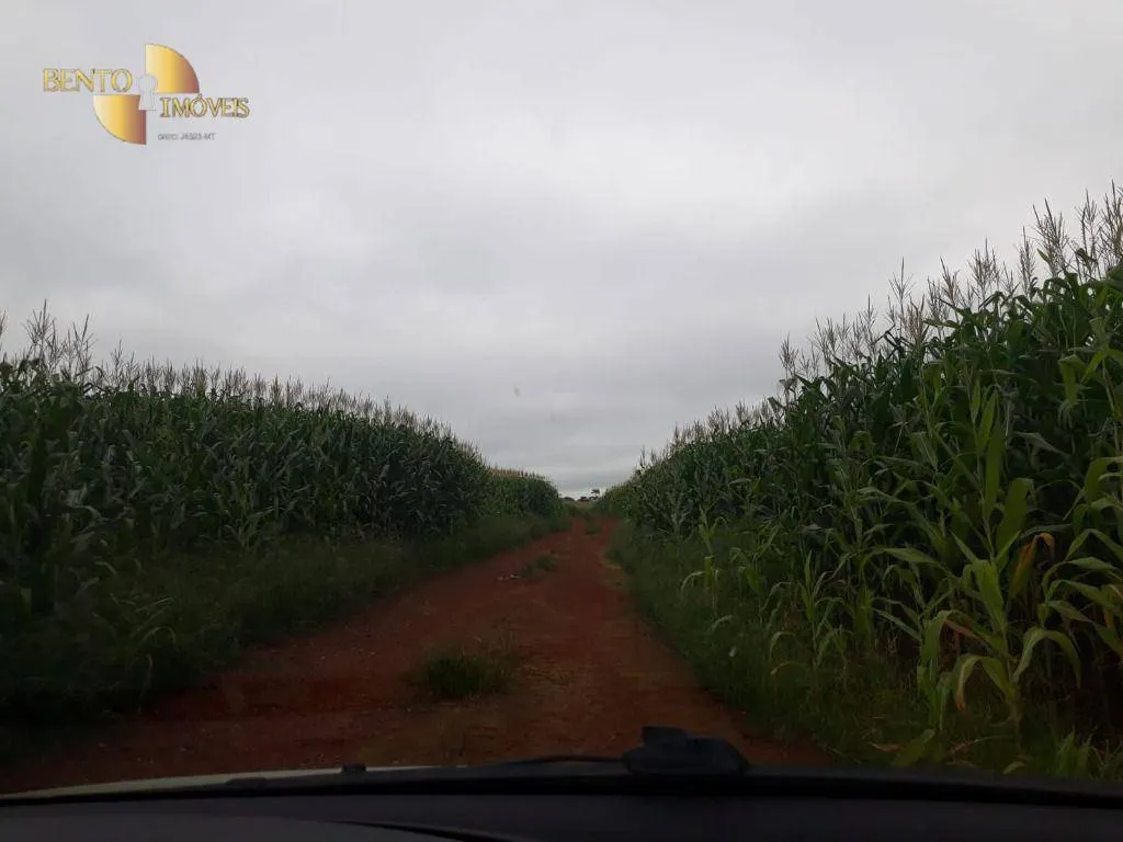 Fazenda à venda e para Arrendar de 1.830 ha em Brasnorte, MT, Brasil