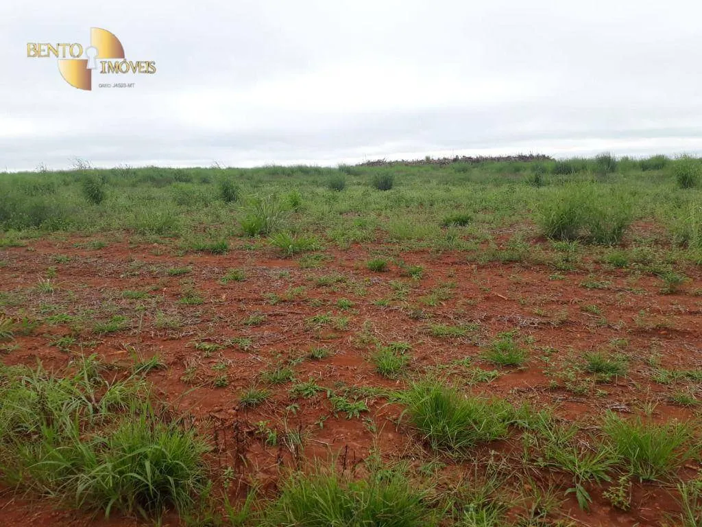Fazenda à venda e para Arrendar de 1.830 ha em Brasnorte, MT, Brasil