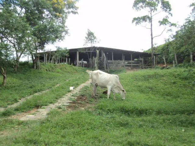 Fazenda à venda de 97 ha em Registro, SP, Brasil