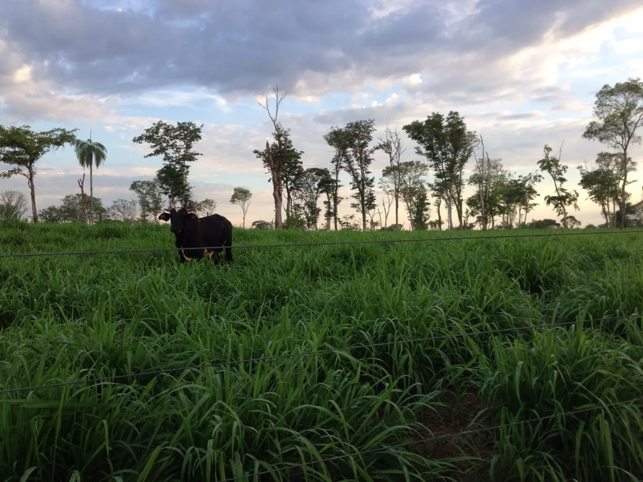 Fazenda à venda de 1.936 ha em Brasília, DF, Brasil