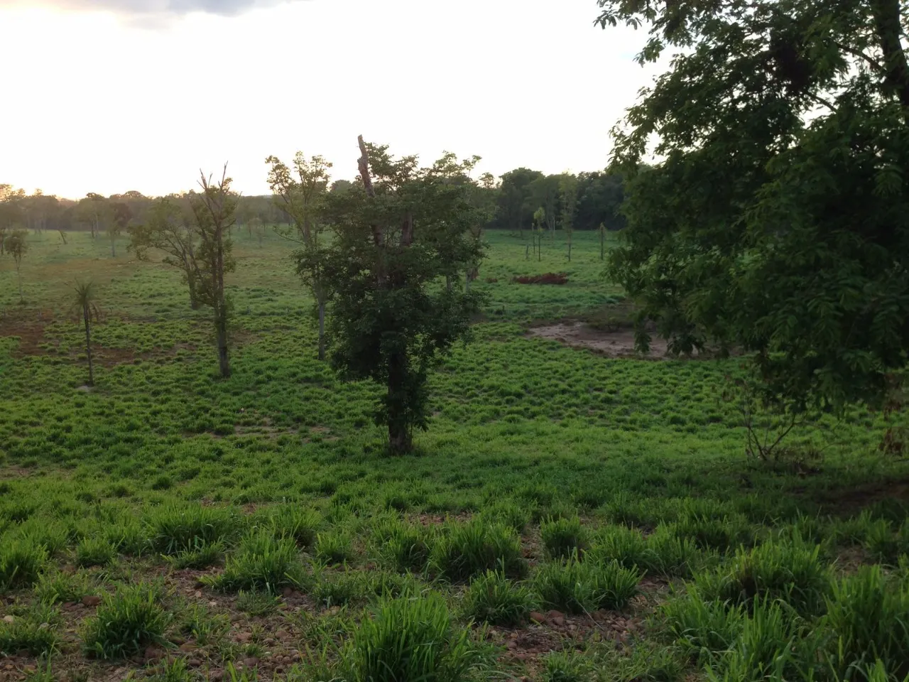 Fazenda à venda de 1.936 ha em Brasília, DF, Brasil