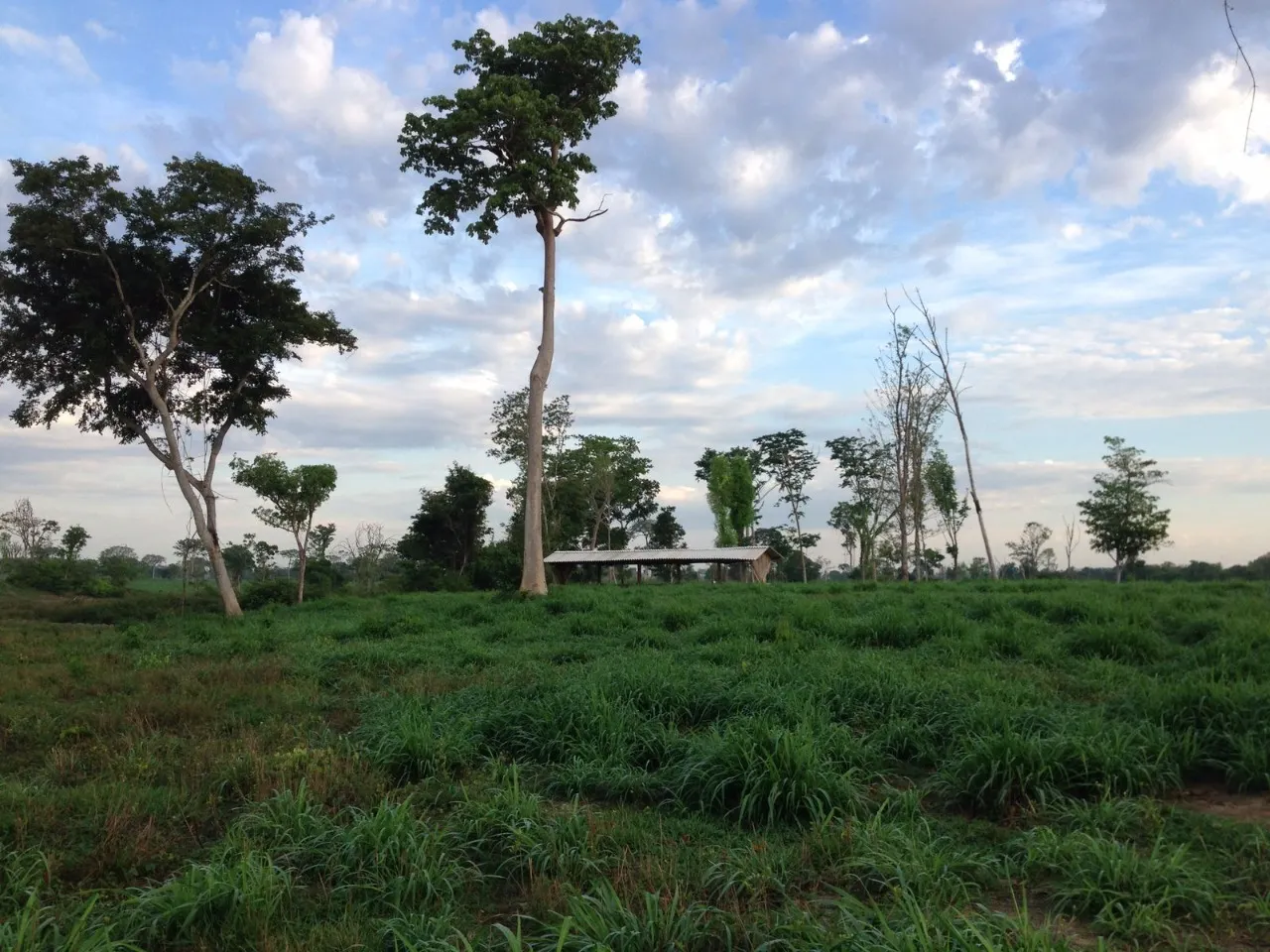 Fazenda à venda de 1.936 ha em Brasília, DF, Brasil
