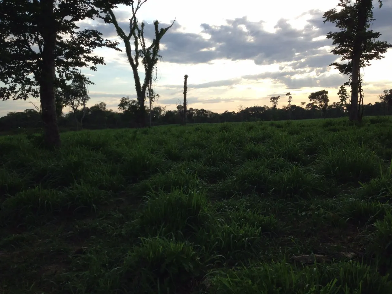 Fazenda à venda de 1.936 ha em Brasília, DF, Brasil