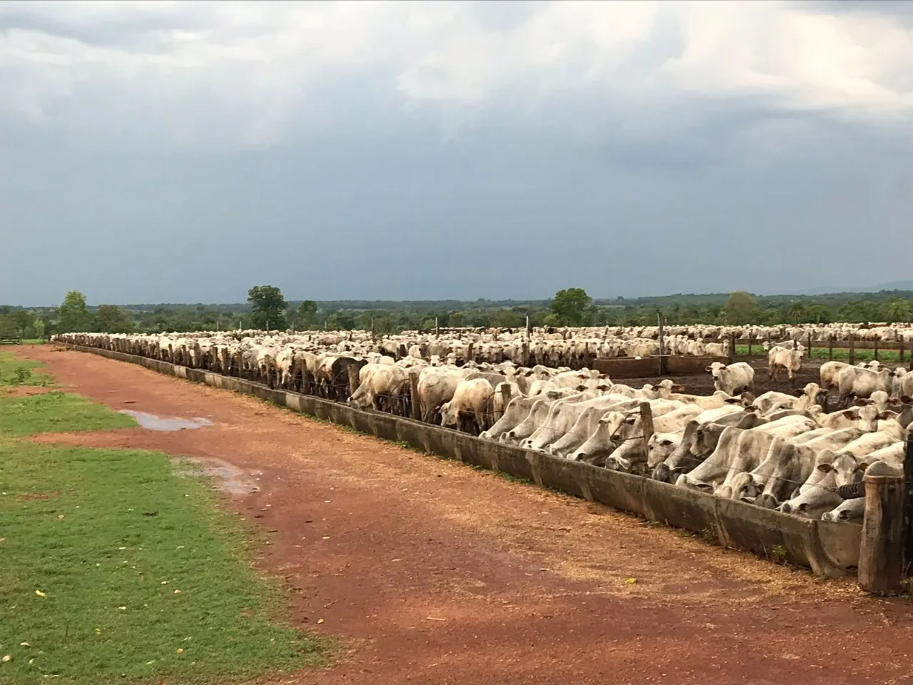 Fazenda à venda de 1.936 ha em Brasília, DF, Brasil