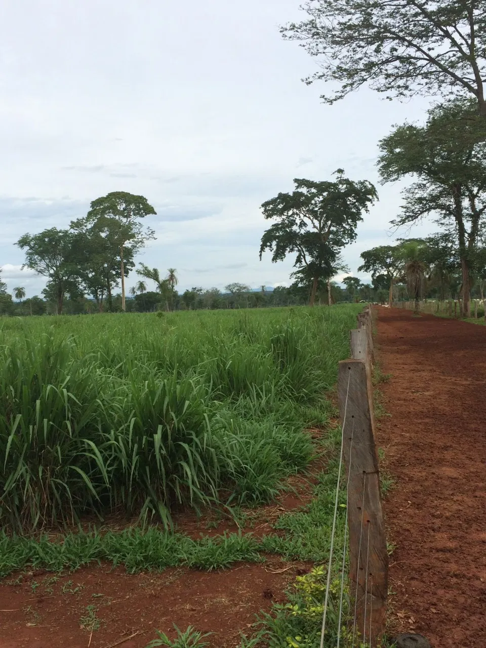 Fazenda à venda de 1.936 ha em Brasília, DF, Brasil