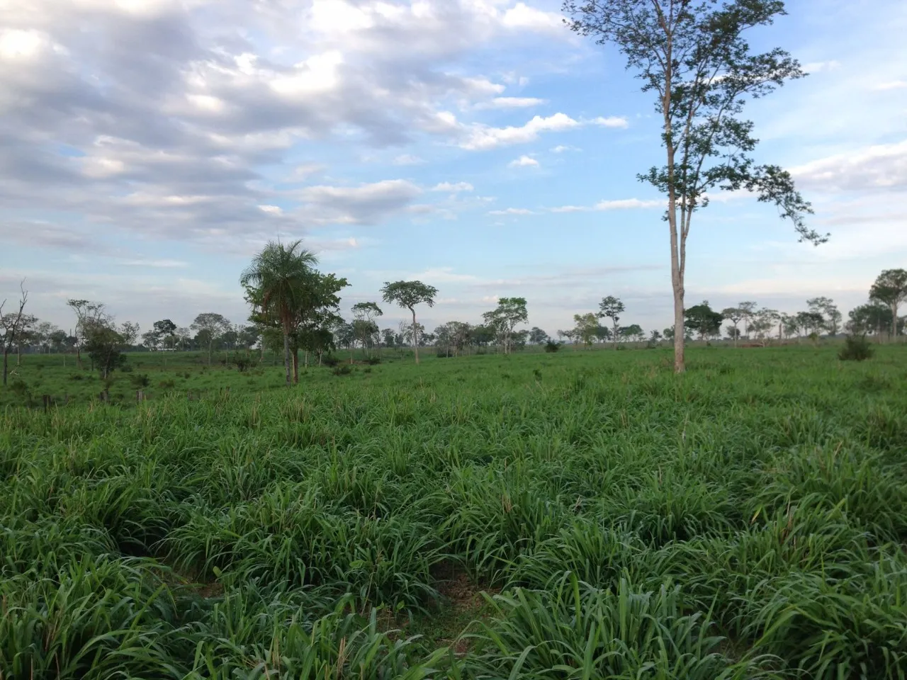 Fazenda à venda de 1.936 ha em Brasília, DF, Brasil