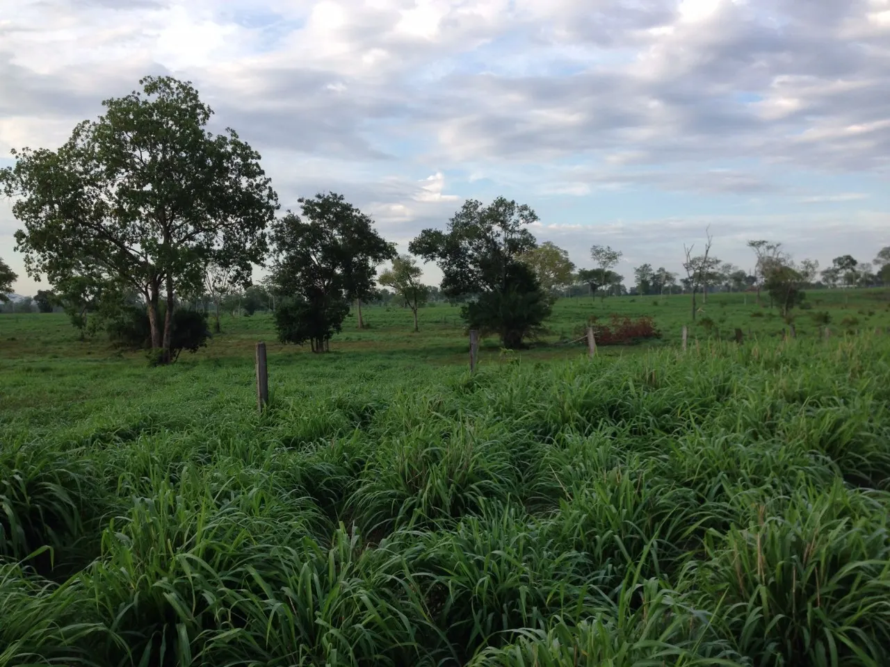 Fazenda à venda de 1.936 ha em Brasília, DF, Brasil