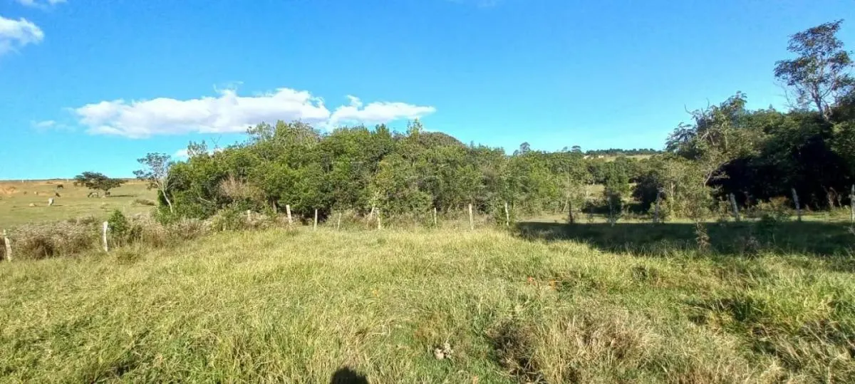 Small farm for sale of 20 acres in Botucatu, SP, Brazil