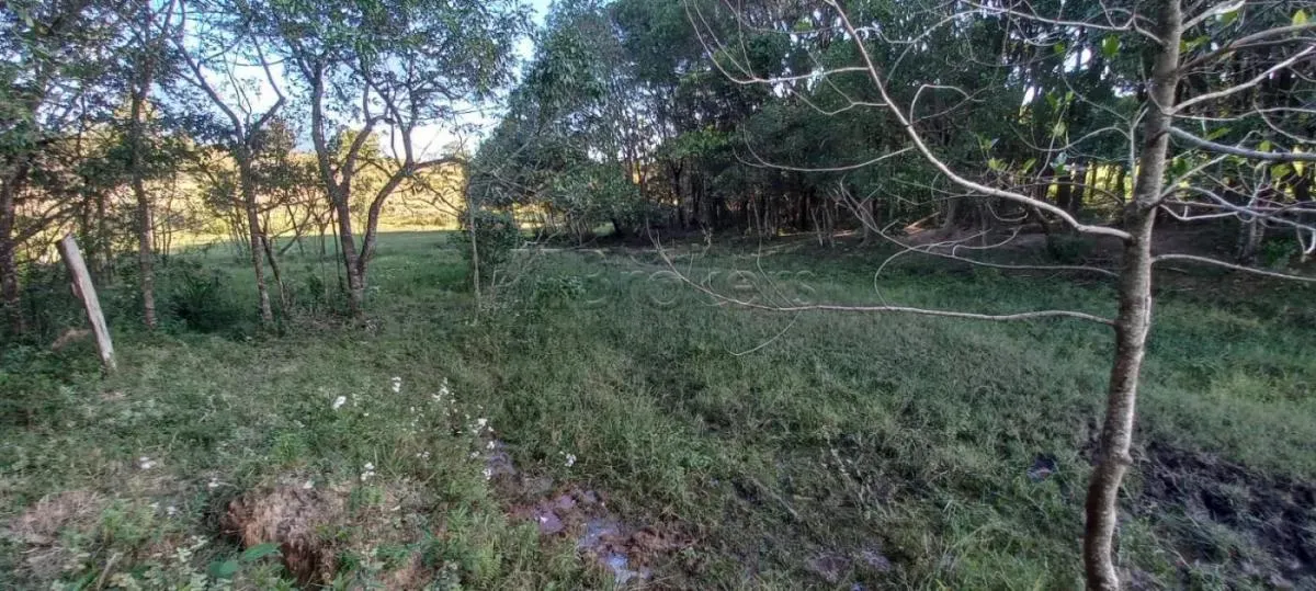 Small farm for sale of 20 acres in Botucatu, SP, Brazil