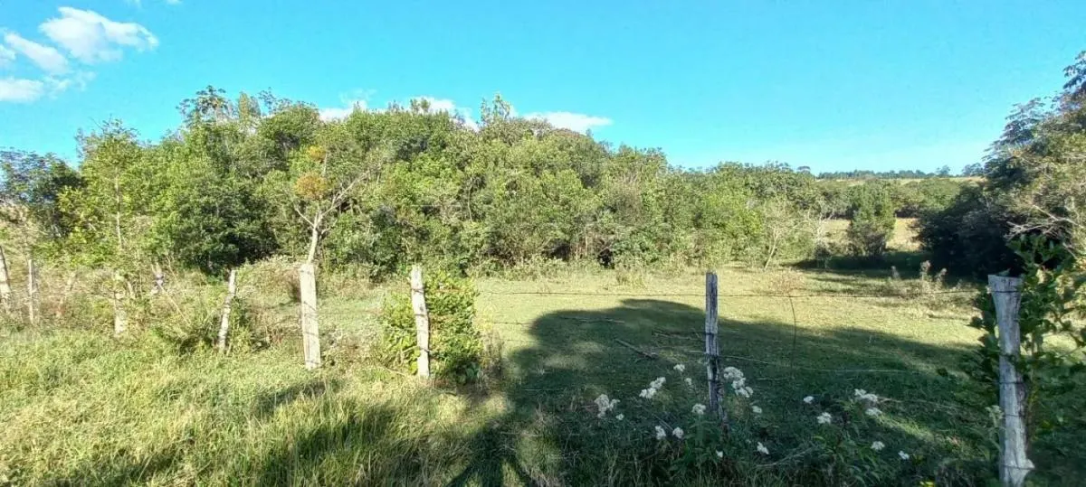 Small farm for sale of 20 acres in Botucatu, SP, Brazil