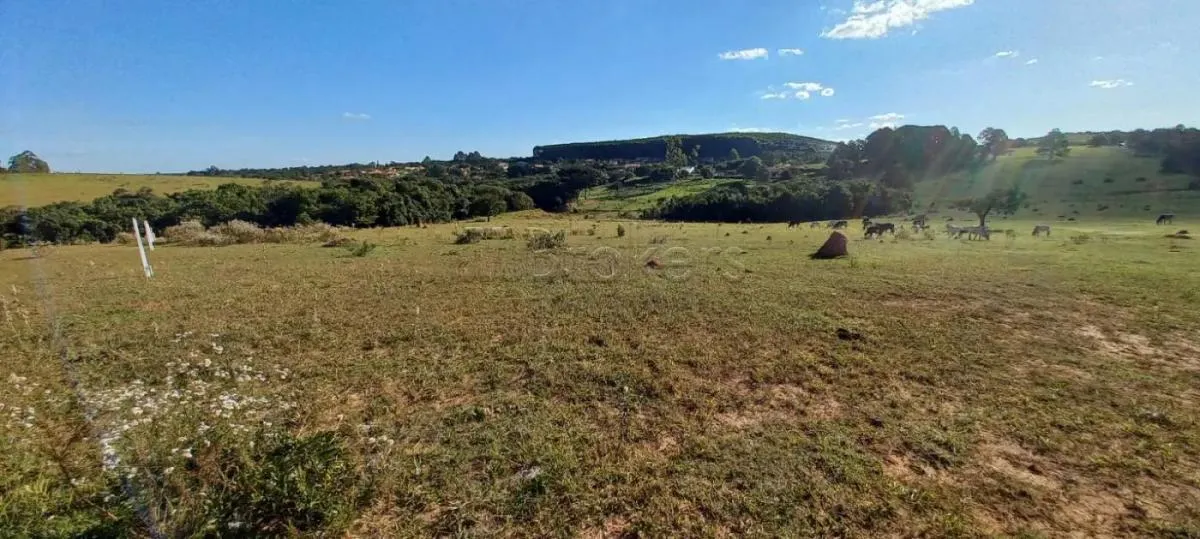 Small farm for sale of 20 acres in Botucatu, SP, Brazil