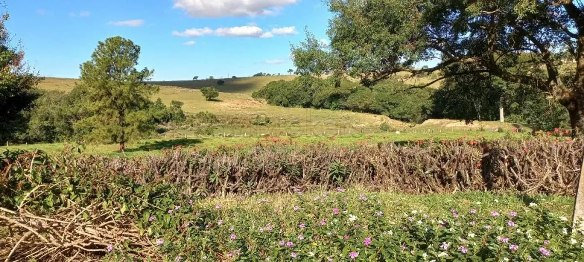 Small farm for sale of 20 acres in Botucatu, SP, Brazil