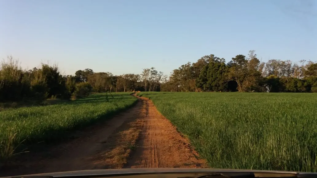 Fazenda à venda de 111 ha em Itapetininga, SP, Brasil