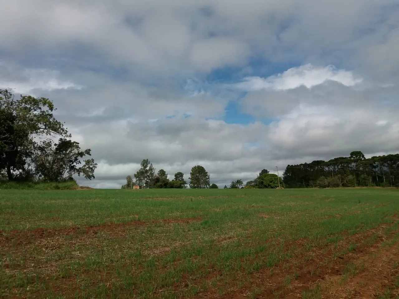 Fazenda à venda de 111 ha em Itapetininga, SP, Brasil