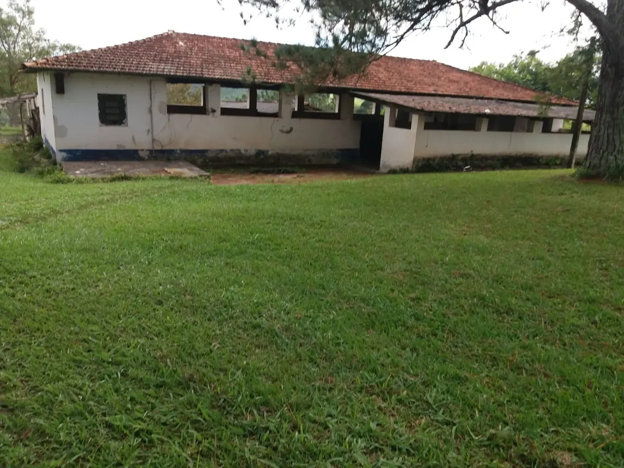 Fazenda à venda de 111 ha em Itapetininga, SP, Brasil