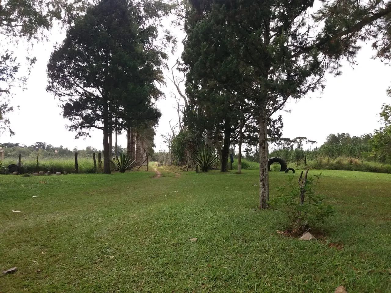 Fazenda à venda de 111 ha em Itapetininga, SP, Brasil