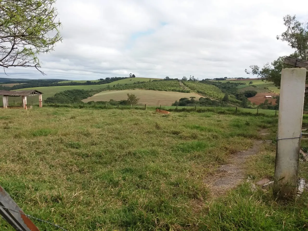Fazenda à venda de 111 ha em Itapetininga, SP, Brasil