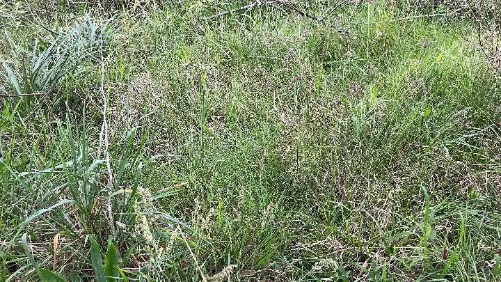 Chácara à venda de 2.000 m² em Taquara, RS, Brasil
