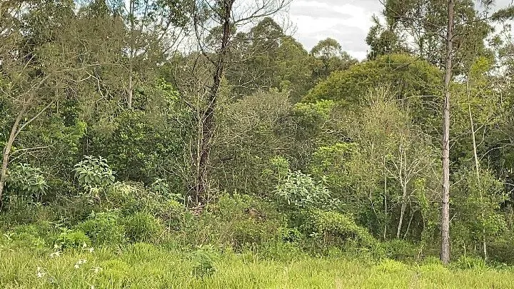 Chácara à venda de 2.000 m² em Taquara, RS, Brasil
