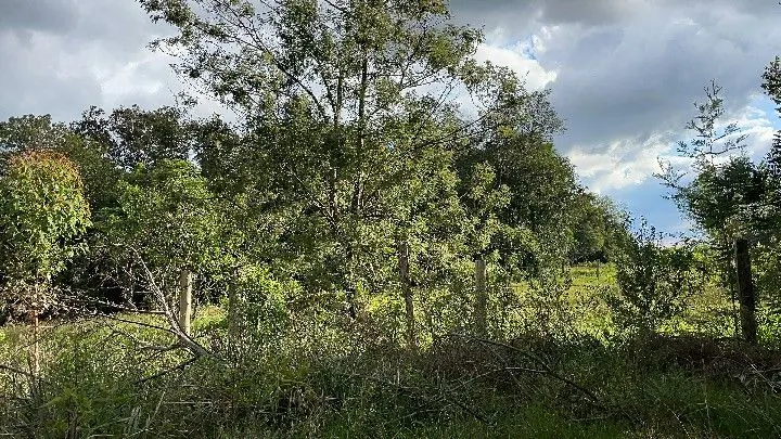 Chácara à venda de 2.000 m² em Taquara, RS, Brasil