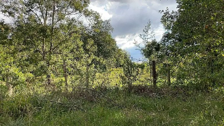 Chácara à venda de 2.000 m² em Taquara, RS, Brasil