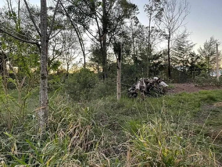 Chácara à venda de 2.000 m² em Taquara, RS, Brasil