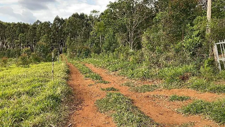 Chácara à venda de 2.000 m² em Taquara, RS, Brasil