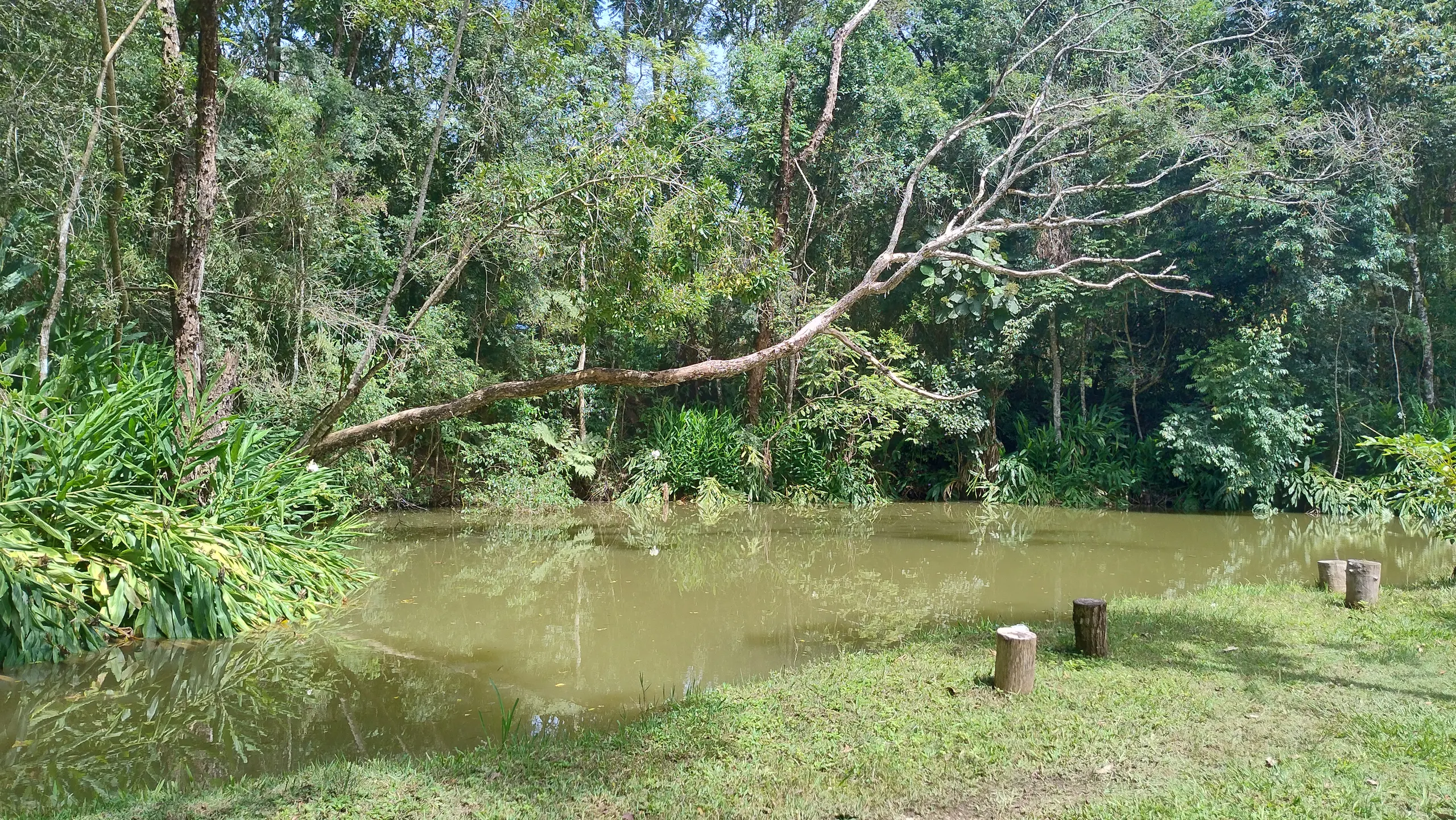 Small farm for sale of 7 acres in Bom Sucesso de Itararé, SP, Brazil
