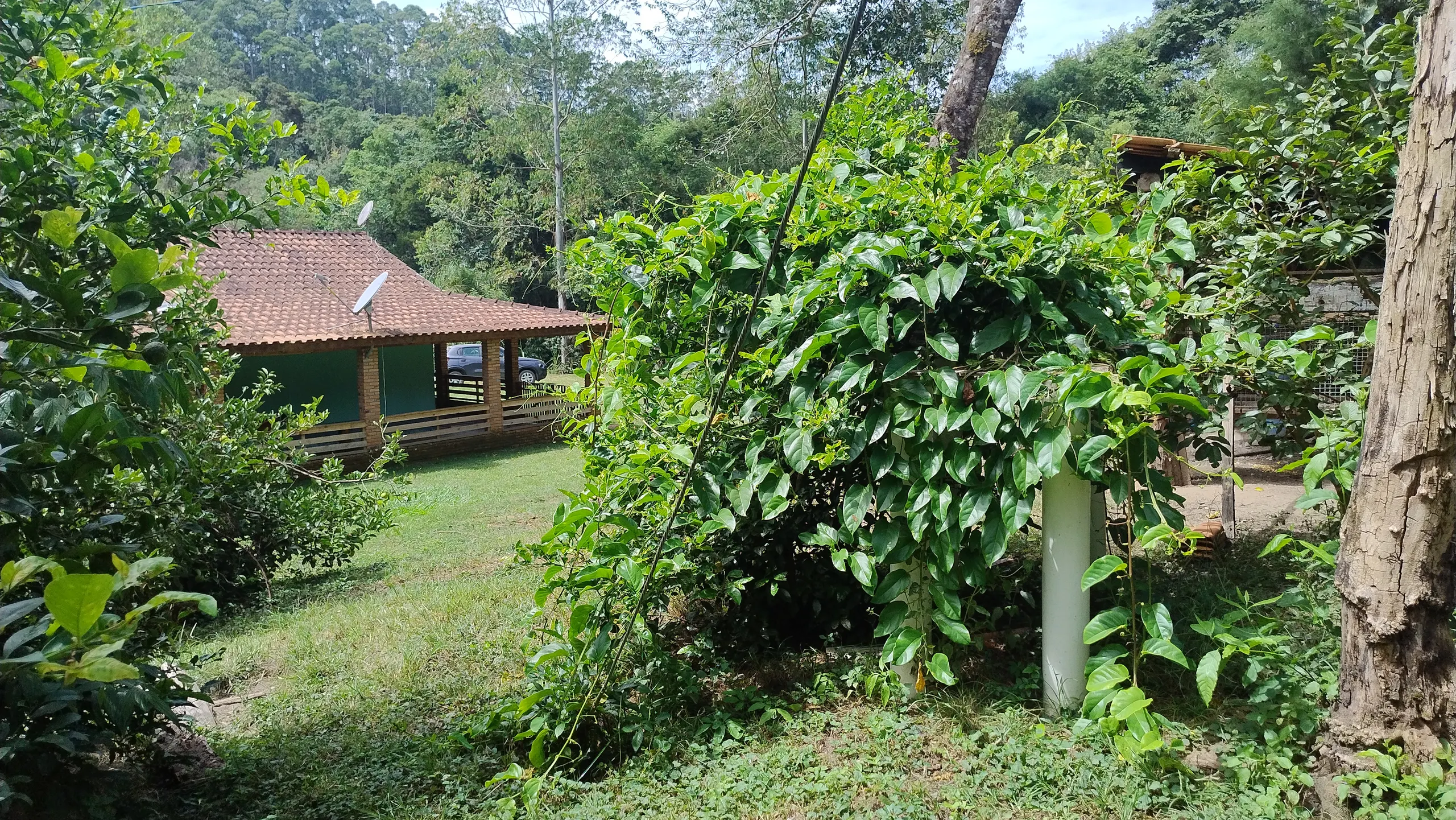 Small farm for sale of 7 acres in Bom Sucesso de Itararé, SP, Brazil