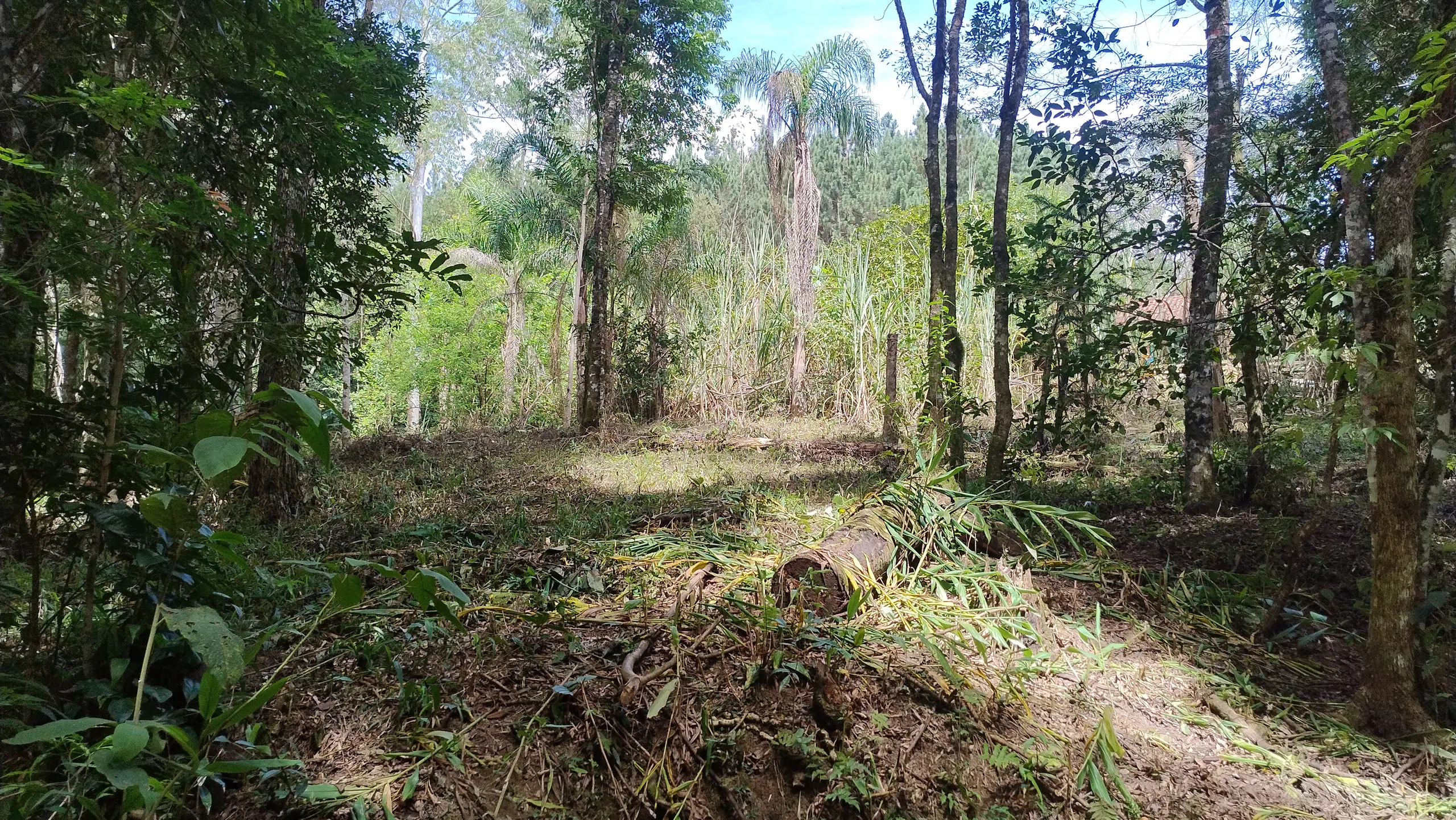 Small farm for sale of 7 acres in Bom Sucesso de Itararé, SP, Brazil