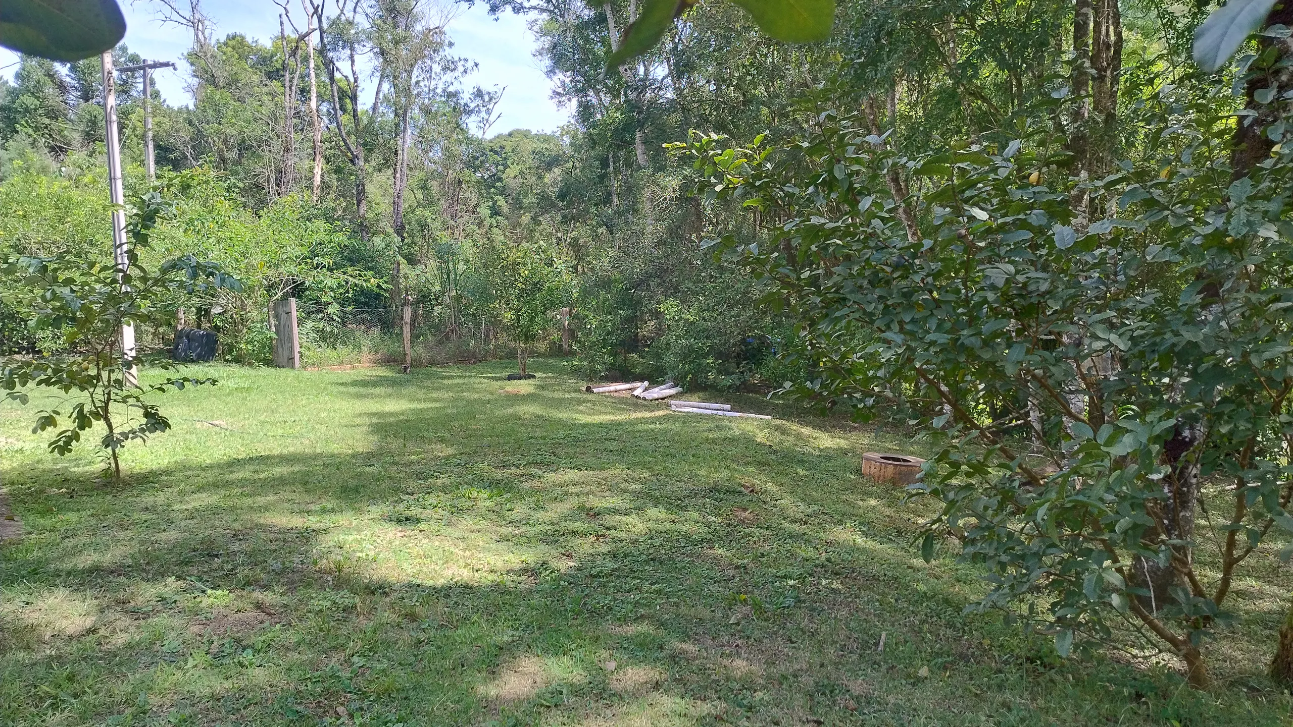 Small farm for sale of 7 acres in Bom Sucesso de Itararé, SP, Brazil