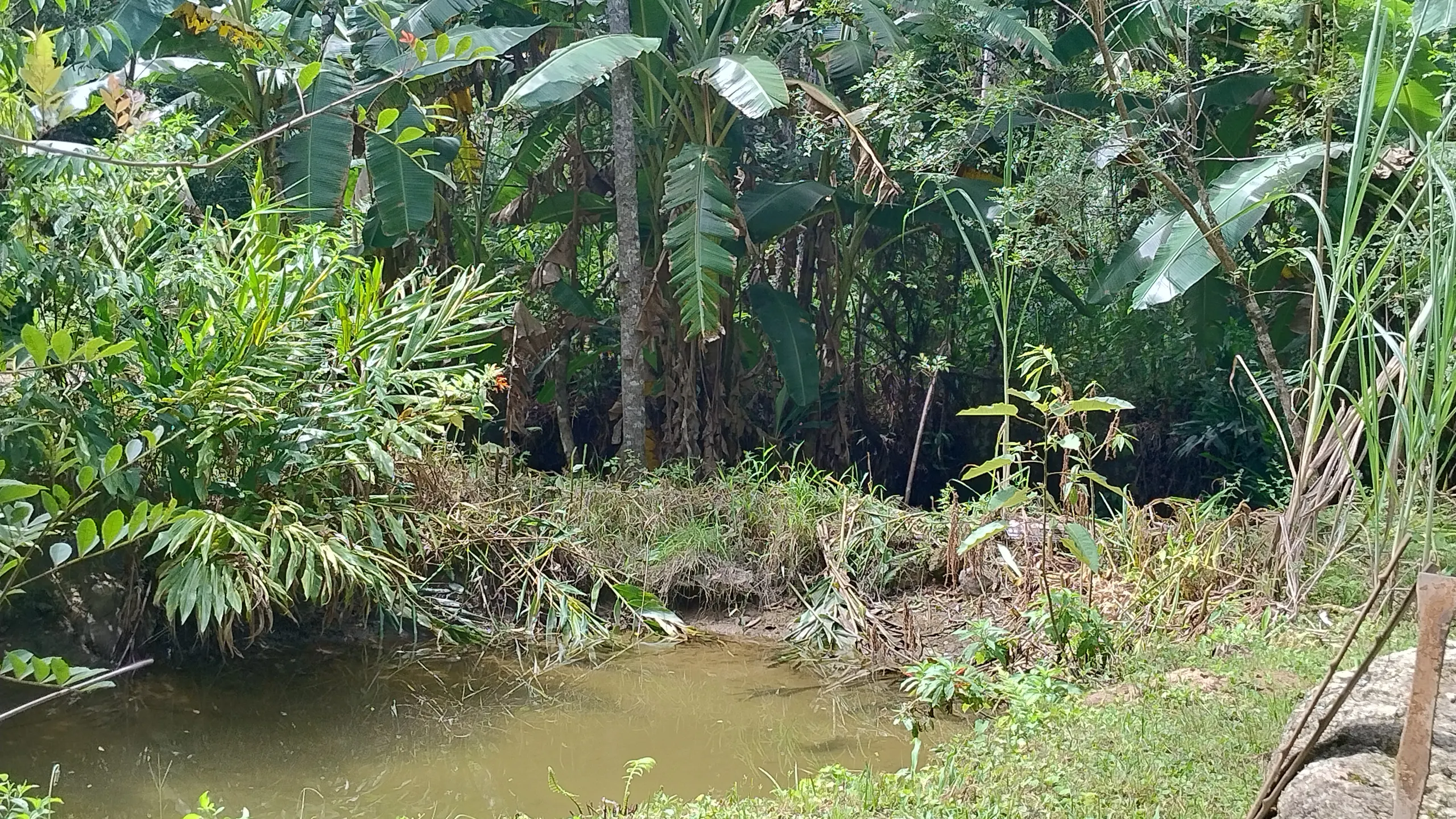 Small farm for sale of 7 acres in Bom Sucesso de Itararé, SP, Brazil