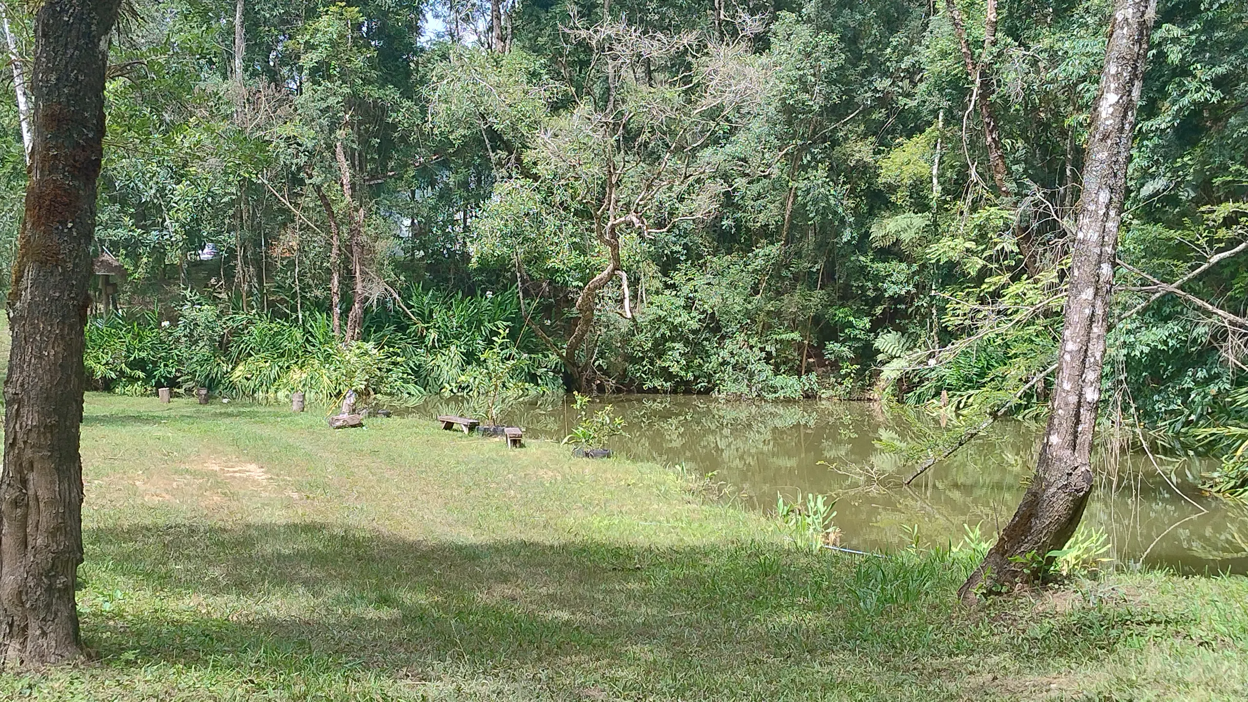 Small farm for sale of 7 acres in Bom Sucesso de Itararé, SP, Brazil